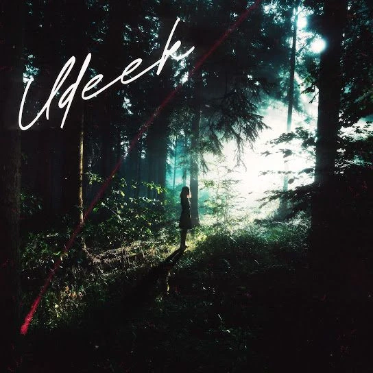 Download UDEEK Zehr Vibe mp3 song