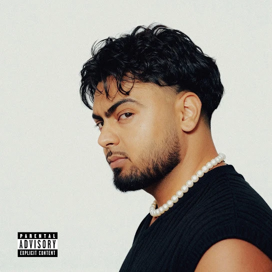 Download It Fails Jassa Dhillon mp3 song, Rizz Game Jassa Dhillon full album download