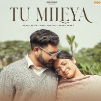 Download Tu Mileya Boota Aklia mp3 song, Tu Mileya Boota Aklia full album download
