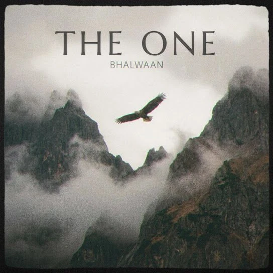 Download The One Bhalwaan mp3 song, The One Bhalwaan full album download