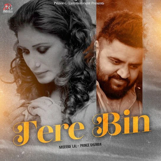 Download Tere Bin Naseebo Lal mp3 song, Tere Bin Naseebo Lal full album download