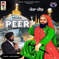 Download Mera Peer Sajan Warval mp3 song, Mera Peer Sajan Warval full album download
