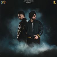Download Tere Piche Zaildar mp3 song, Tere Piche Zaildar full album download