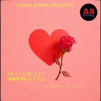 Arash Biring mp3 songs download,Arash Biring Albums and top 20 songs download