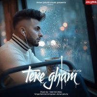 Download Tere Gham Aman Jaluria mp3 song, Tere Gham Aman Jaluria full album download