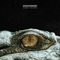 Jind Dhillon mp3 songs download,Jind Dhillon Albums and top 20 songs download