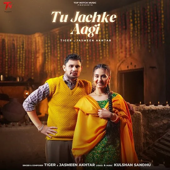 Download Tu Jachke Aagi Tiger mp3 song, Tu Jachke Aagi Tiger full album download