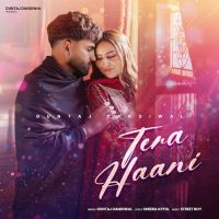 Download Tera Haani Guntaj Dandiwal mp3 song