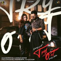 Download Try Out Navroz Gill mp3 song, Try Out Navroz Gill full album download