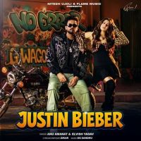 Download Justin Bieber Elvish Yadav, Anu Amanat mp3 song, Justin Bieber Elvish Yadav, Anu Amanat full album download