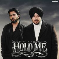 Veet Baljit and Chandra Brar mp3 songs download,Veet Baljit and Chandra Brar Albums and top 20 songs download