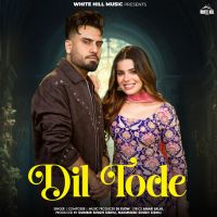 Download Dil Tode DJ Flow mp3 song, Dil Tode DJ Flow full album download