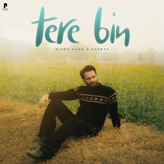 Download Tere Bin Ricky Khan mp3 song