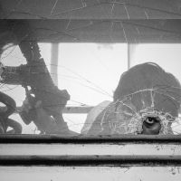 Mani Longia mp3 songs download,Mani Longia Albums and top 20 songs download