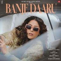 Download Banje Daaru Shehnaaz Gill mp3 song, Banje Daaru Shehnaaz Gill full album download