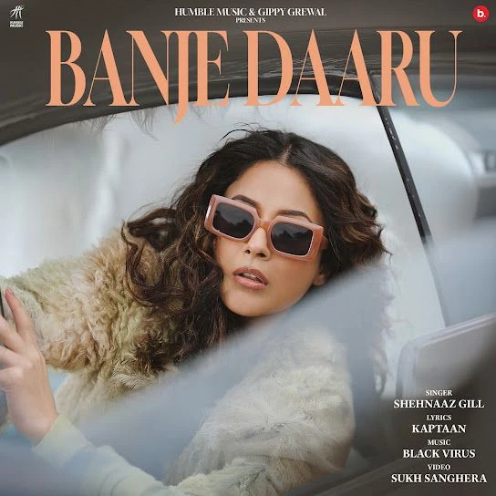 Download Banje Daaru Shehnaaz Gill mp3 song
