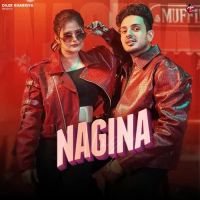 Download Nagina Diler Kharkiya mp3 song, Nagina Diler Kharkiya full album download
