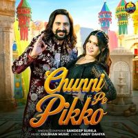 Download Chunni Pe Pikko Sandeep Surila mp3 song, Chunni Pe Pikko Sandeep Surila full album download