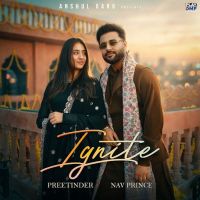Download Ignite Preetinder mp3 song, Ignite Preetinder full album download
