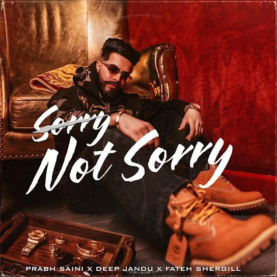 Download SORRY,NOT SORRY! Prabh Saini mp3 song