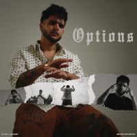 Download Options Flop Likhari mp3 song, Options Flop Likhari full album download