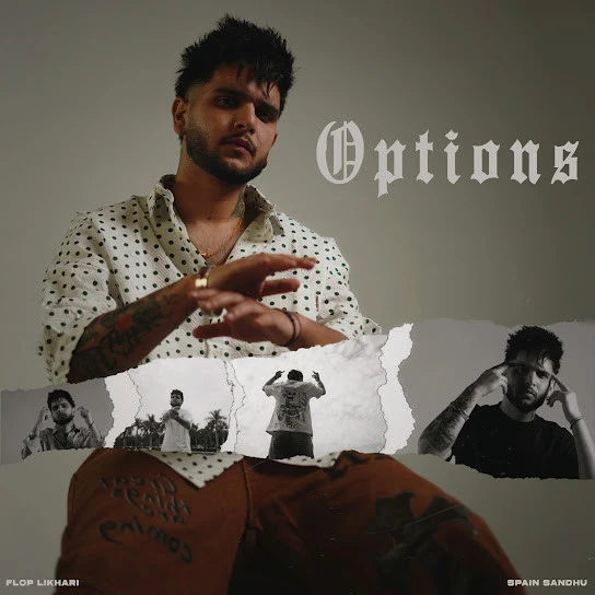Download Options Flop Likhari mp3 song