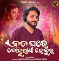 Download Bada Ghare Bahurani Habulo Anil Bhai mp3 song, Bada Ghare Bahurani Habulo Anil Bhai full album download