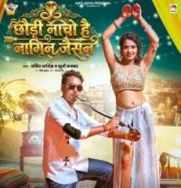 Download Chhaudi Nacho Hai Nagin Jaisan Amit Ashik , Khushi Kakkar mp3 song, Chhaudi Nacho Hai Nagin Jaisan Amit Ashik , Khushi Kakkar full album download
