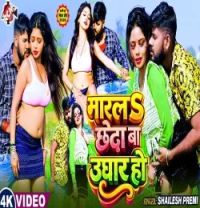 Download Marala Chheda Ba Ughar Ho Shailesh Premi mp3 song, Marala Chheda Ba Ughar Ho Shailesh Premi full album download