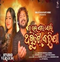 Dushmanta suna mp3 songs download,Dushmanta suna Albums and top 20 songs download