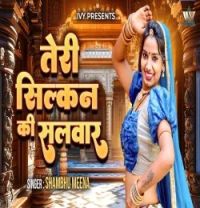 Download Teri Silkan Ki Salwar Shambhu Meena mp3 song, Teri Silkan Ki Salwar Shambhu Meena full album download