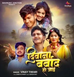 Download Deewana Barbad Ho Jai Vinay Tiwari mp3 song, Deewana Barbad Ho Jai Vinay Tiwari full album download