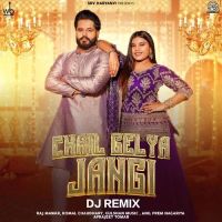 Download Chail Gelya Jangi DJ Remix Komal Chaudhary, Raj Mawar mp3 song, Chail Gelya Jangi DJ Remix Komal Chaudhary, Raj Mawar full album download