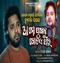 Download Aa Mo Pakhaku Gotie Thara Tiger mp3 song, Aa Mo Pakhaku Gotie Thara Tiger full album download