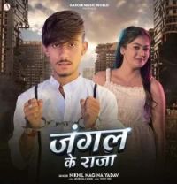 Download Jungle Ke Raja Nikhil Nagina Yadav mp3 song, Jungle Ke Raja Nikhil Nagina Yadav full album download