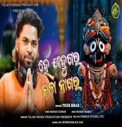 Download HE JADUGAR KALA NAGRA Tiger Bibar mp3 song, HE JADUGAR KALA NAGRA Tiger Bibar full album download