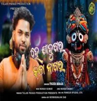 Tiger Bibar mp3 songs download,Tiger Bibar Albums and top 20 songs download