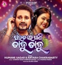 Download PAIDA RE PANI DABU DABU Humane Sagar, Antara Chakrabarty mp3 song, PAIDA RE PANI DABU DABU Humane Sagar, Antara Chakrabarty full album download