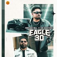 Download Eagle 30 Nishan Gill mp3 song, Eagle 30 Nishan Gill full album download