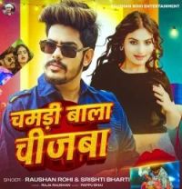 Download Chamdi Wala Chizwa Raushan Rohi, Srishti Bharti mp3 song, Chamdi Wala Chizwa Raushan Rohi, Srishti Bharti full album download