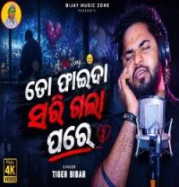 Download To Faida Sarigala Pare Tiger Bibhar mp3 song, To Faida Sarigala Pare Tiger Bibhar full album download