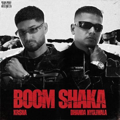 Download Boom Shaka Krsna, Dhanda Nyoliwala mp3 song, Boom Shaka Krsna, Dhanda Nyoliwala full album download