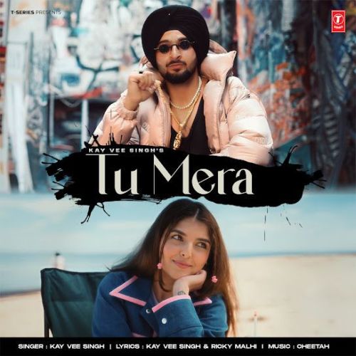 Download Tu Mera Kay Vee Singh mp3 song, Tu Mera Kay Vee Singh full album download