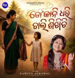 Download To Kani Dhari Chali Sikhichi Namita Agrawal mp3 song, To Kani Dhari Chali Sikhichi Namita Agrawal full album download