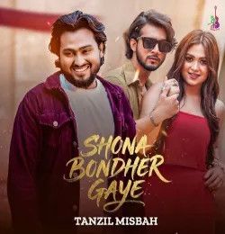 Tanzil Misbah mp3 songs download,Tanzil Misbah Albums and top 20 songs download