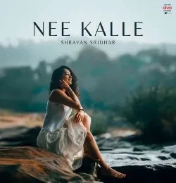 Download Nee Kalle Krishna Tejasvi mp3 song, Nee Kalle Krishna Tejasvi full album download