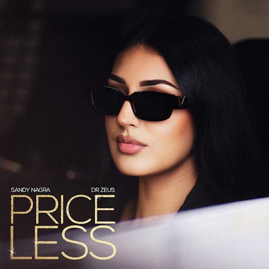 Download Priceless Sandy Nagra mp3 song, Priceless Sandy Nagra full album download