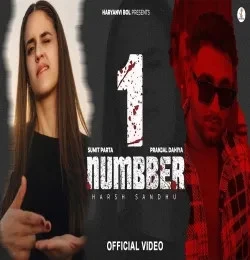 Download 1 Numbber Anjali99 and Sumit Parta mp3 song