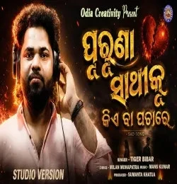 Download Purunaa Sathi Ku Kiye ba pachare Tiger Bibhar mp3 song, Purunaa Sathi Ku Kiye ba pachare Tiger Bibhar full album download