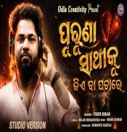Tiger Bibhar mp3 songs download,Tiger Bibhar Albums and top 20 songs download